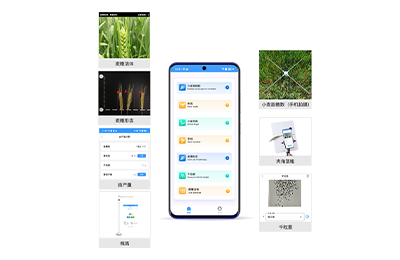 深圳市小麦表型检测仪IN-XM04